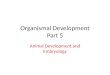 Organismal Development Part 5 Animal Development and Embryology
