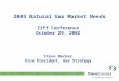 2003 Natural Gas Market Needs Ziff Conference October 29, 2002 Steve Becker Vice President, Gas Strategy