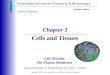 Essentials of Human Anatomy  Physiology Copyright  2003 Pearson Education, Inc. publishing as Benjamin Cummings Cell Diversity The Plasma Membrane Seventh