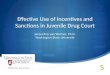 Effective Use of Incentives and Sanctions in Juvenile Drug Court Jacqueline van Wormer, Ph.D. Washington State University