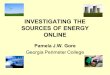 INVESTIGATING THE SOURCES OF ENERGY ONLINE Pamela J.W. Gore Georgia Perimeter College