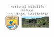 National Wildlife Refuge San Diego, California. About the Refuge.. Established in 1996 Stretches from Jamul to communities in Spring Valley Over 11,152
