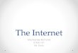 The Internet Mackenzie Birchard ICS4U1-01 Mr. Krnic