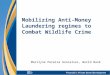 Mobilizing Anti-Money Laundering regimes to Combat Wildlife Crime Marilyne Pereira Goncalves, World Bank