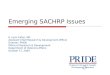 Emerging SACHRP Issues K. Lynn Cates, MD Assistant Chief Research  Development Officer Director, PRIDE Office of Research  Development Department of