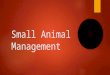 Small Animal Management. Objective  I will learn  ways to train and create behavior management  Housing, boarding, and transporting options  Breeding
