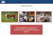 APHIS READINESS UPDATE Automated Commercial Environment US Department of Agriculture Animal and Plant Health Inspection Service