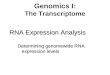 Genomics I: The Transcriptome RNA Expression Analysis Determining genomewide RNA expression levels