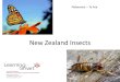 New Zealand Insects Reference  Te Ara. We are learning to: Activate our prior knowledge Identify key points in reading Make connections (later in the