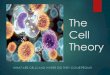 The Cell Theory WHAT ARE CELLS AND WHERE DID THEY COME FROM?