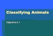 Classifying Animals Objective 4.1. Characteristics of Animals 1.Multi-cellular 2.Require oxygen 3.Consume other organisms for food 4.Able to move at some