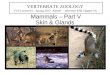 Mammals  Part V VERTEBRATE ZOOLOGY (VZ Lecture33  Spring 2012 Althoff - reference PJH Chapter 21) Bill Horn Skin  Glands