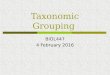 Taxonomic Grouping BIOL447 4 February 2016. Hierarchy in Taxonomy  Darwins phrasegroups subordinate to groups  Linnaeus' scheme fits evolution fairly