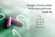 Single Nucleotide Polymorphisms (SNPs) By Amira Jhelum Rahul Shweta