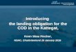 Introducing the landing obligation for the COD in the Kattegat, Kenn Skau Fischer, NSAC, Charlottenlund 29 January 2016