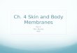 Ch. 4 Skin and Body Membranes Part 1 Mrs. Barnes AP