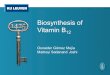 Biosynthesis of Vitamin B 12 Osnaider Gmez Meja Maitreyi Sadanand Joshi