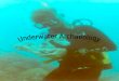 Underwater archaeology combines fields of study including: Anthropology Chemistry Ethnography Geology…