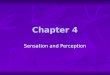 Chapter 4 Sensation and Perception. Sensation and Perception: The basics Sensation: the stimulation