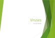 Viruses For EOC Review. IV.Preventing Bacterial Disease 1. Vaccine- A preparation of a weakened or killed…