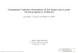 Congenital Osseous Anomalies of the Upper and Lower Cervical Spine in Children by James T. Guille, and…