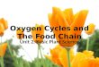 Oxygen Cycles and The Food Chain Unit 2: Basic Plant Science