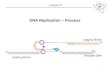 DNA Replication – Process Lecture 17 1. Forms of DNA Helices 2 DNA Replication Template DNA (parent…