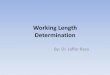 013.working length determination