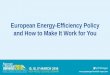 European Energy-Efficiency Policy and How to Make It Work for You