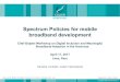 Spectrum policies for mobile broadband development