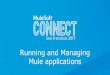 Running and Managing Mule Applications
