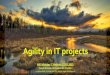 20150227  agility in it projects m niziolek (sent)