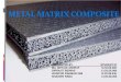 Metal Matrix Composite (MMC)