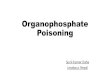 Organophosphate poisoning and its management