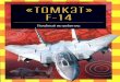 Знаменитые самолёты "Томкэт F-14"