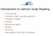 SFCC Scale Reading & Notation - 2017