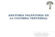 Anatomia Palpatoria de la Columna Vertebral