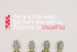 About VisualFizz and Our Services