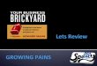 Your Business Brickyard - Howard Mann - a Book review