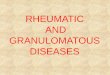 Rheumatic and Granulomatous Diseases