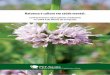 Nature and culture in mental health: knowledge about medicinal plants a psychosocial care center II on a municipality of Bahia state, Brazil
