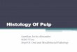 Histology of Pulp