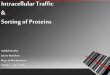 Intracellular Traffic and Sorting of Proteins