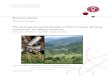 The Ecological Sustainability of Short Fallow Shifting Cultivation in Upland Systems