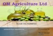Olive Olive Industrial Farming