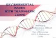 Environmental issues associated with transgenics