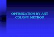 Optimization by Ant Colony Method