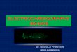 BASICS IN ELECTROCARDIOGRAPHY