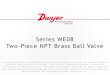 Series WE08 2-Piece NPT Brass Ball Valve