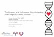 The Knowns and Unknowns: Genetic Testing and Congenital Heart Disease by Kirsten Bartels